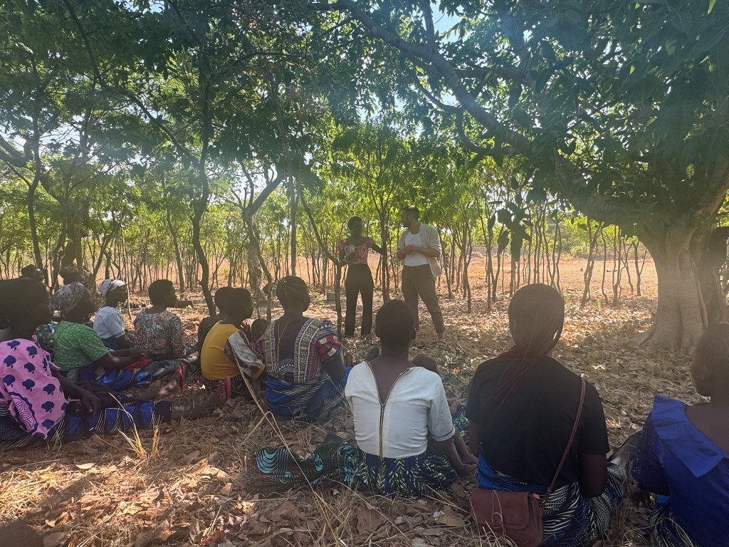 Community members gathered under trees for a coaching session